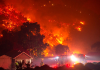 The Palisades Fire: An update from Los Angeles and its Impact on Music