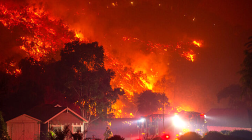 The Palisades Fire: An update from Los Angeles and its Impact on Music